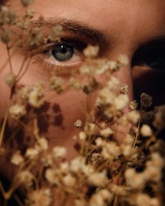 Herbal Skincare vs. Tallow: why plants win every time